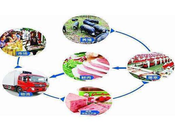 凍品批發(fā)網上交易？肉交所助你搶占交易先機 title=